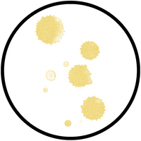 Allergic Rhinitis